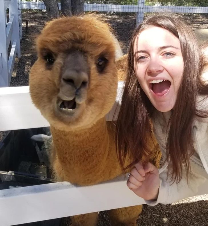 6f23d65aa8baf5c65f269c5ae9