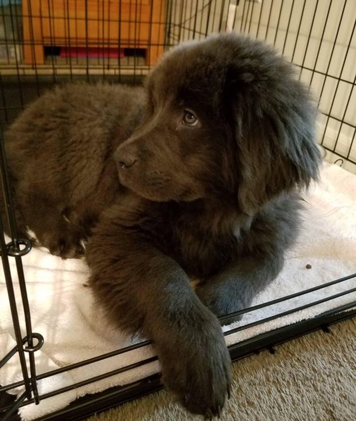 6f26895f19a53661ccc496ed6f