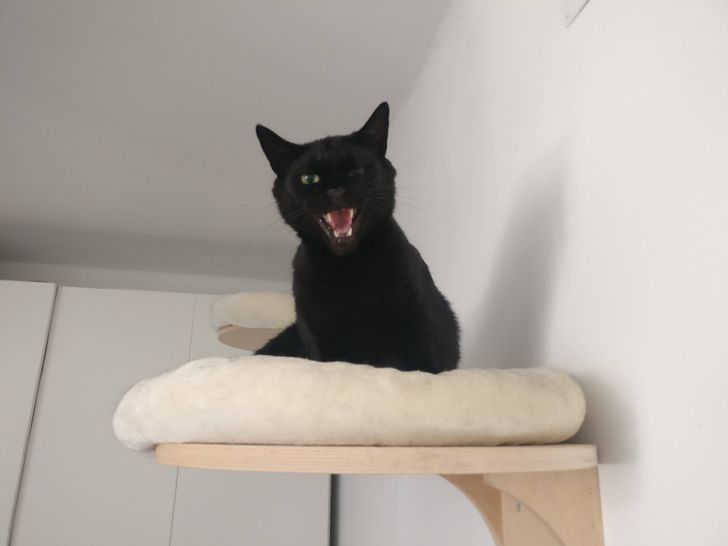 6f29545213b4bb2d09a823534f