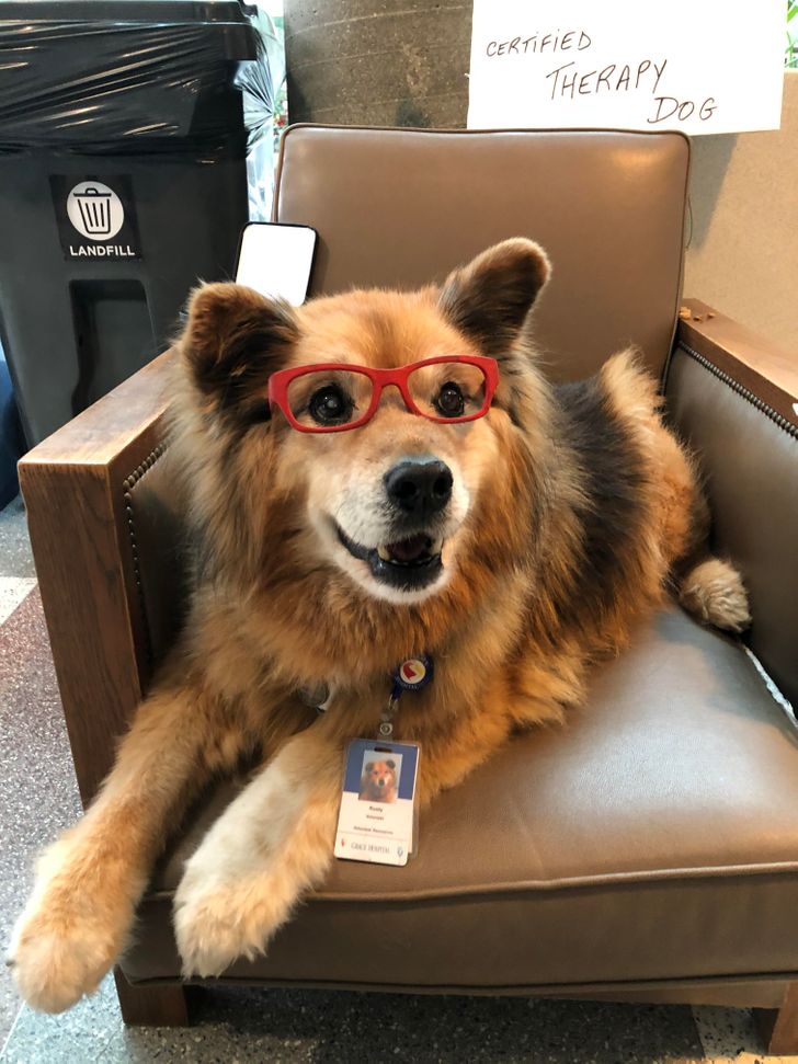 6f2a7857b9a6310fb0e751aff9