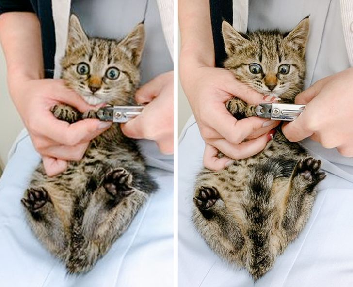 6f2c375be49defa53e414fcc78