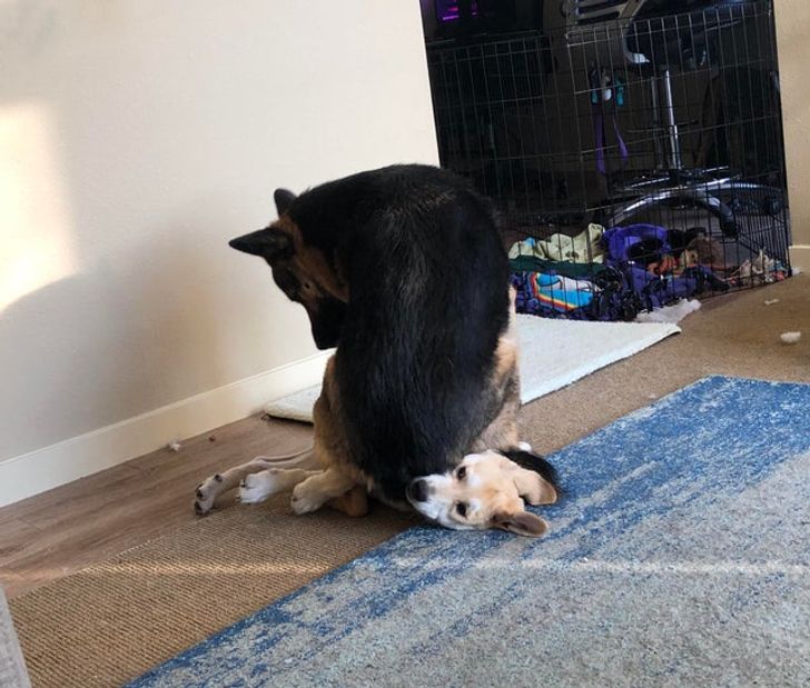 6f30a7594caa7604251962c278