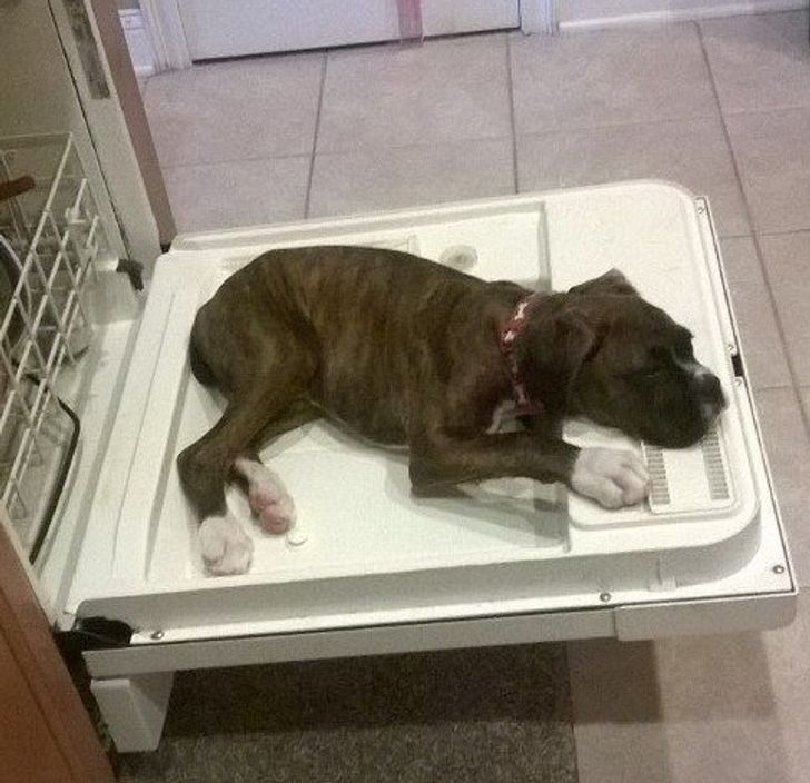 6f34fd55d7ab8ab10539c61578