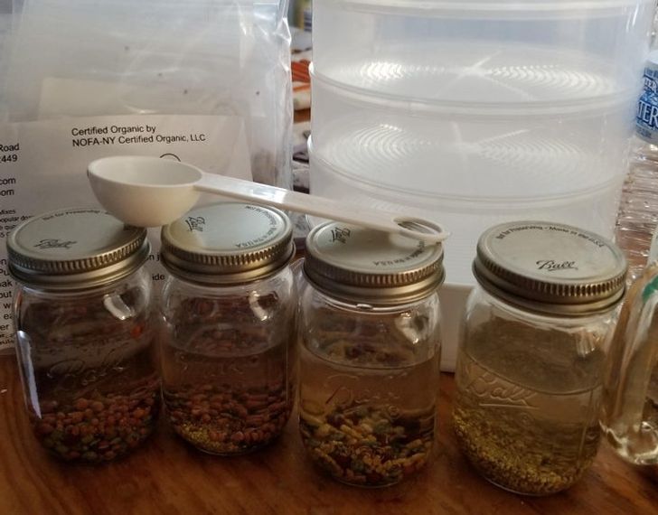 6f36295acdb0a715d456ef2dc6