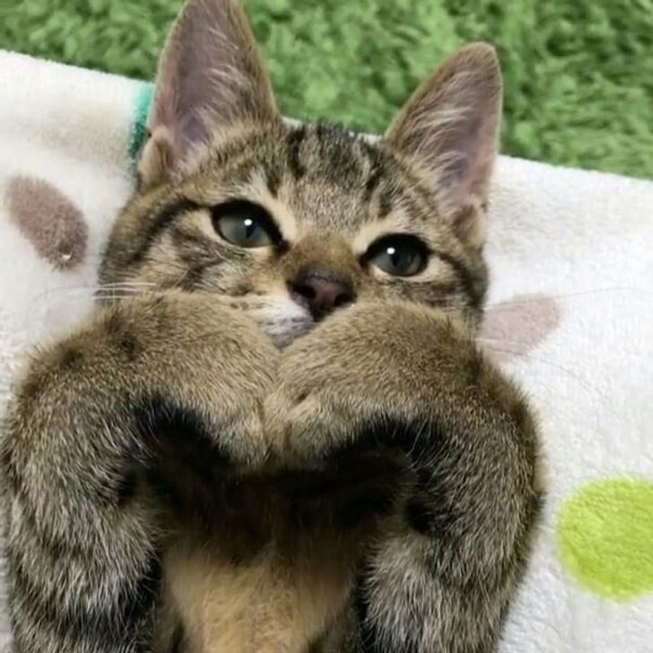 6f5a4b50b48afbaccd50abaa1c