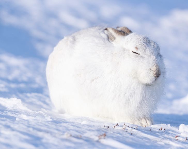 6f5aa755f081a04138bb829fec