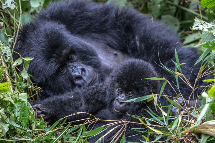 6f5c955e8faf4429ad6f0d005f