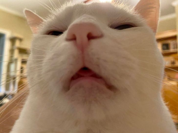 6f5d345b73bd6b1a865b8deac6