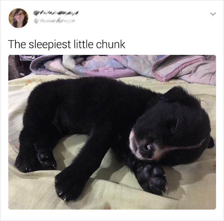 6f63ab52769948046666899430