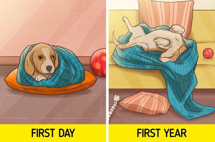 6f63f05ce393ada244ded8c2d6 6f63f05ce393ada244ded8c2d6