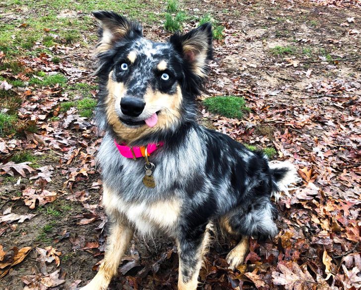 6f697f52148b24db90e0443c6b