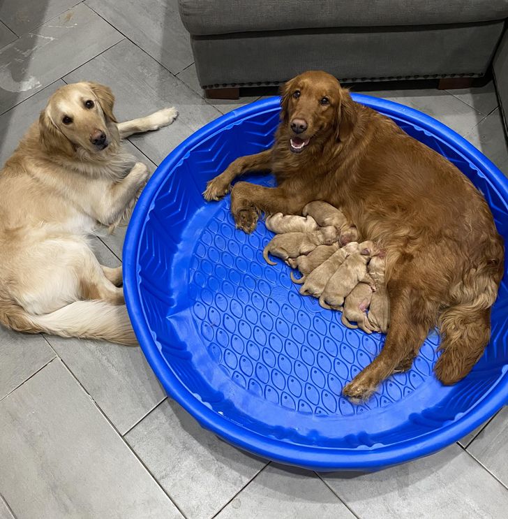 6f69a751198bfef51534be3054