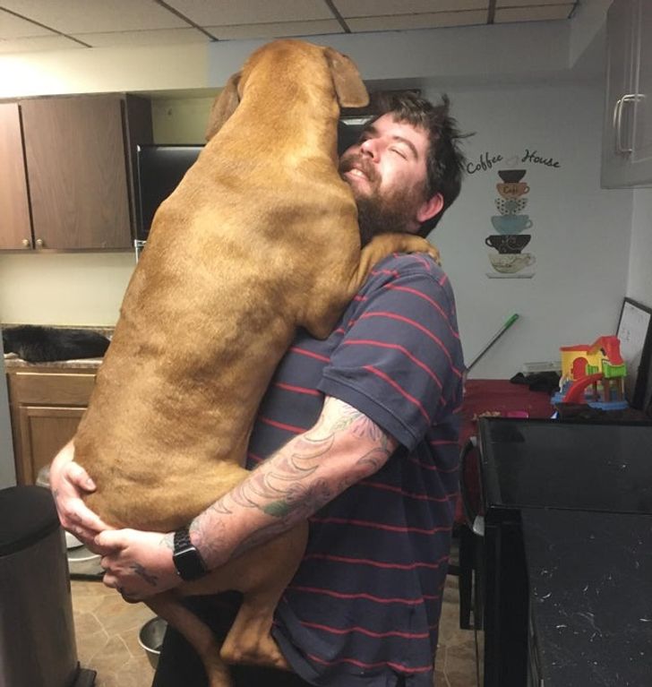 6f713c51bab34417f3ffba53bc