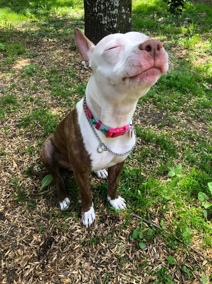 6f7d8a53479fd12064bed81fb4