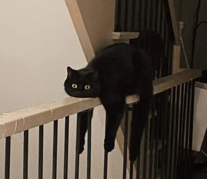 6f861a50259a0b22648fc0bd45