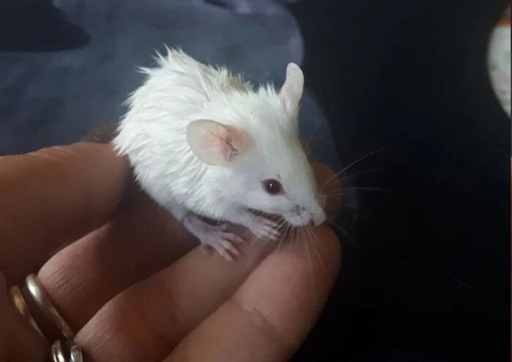 6f88665493990d25db8497b158