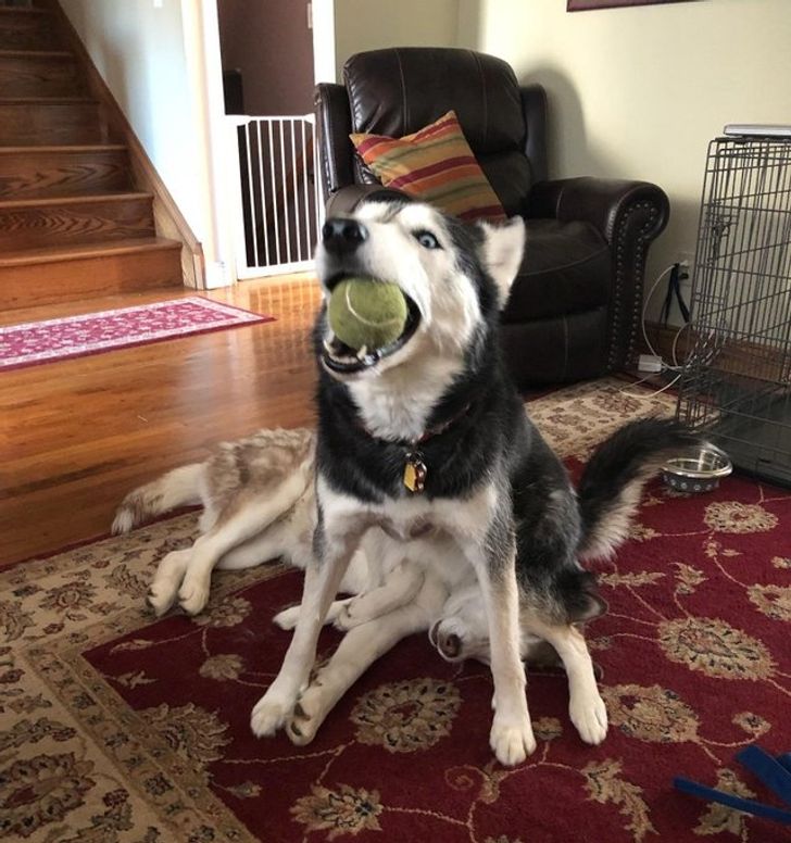 6f8a6550bbb3780947cc539ba9