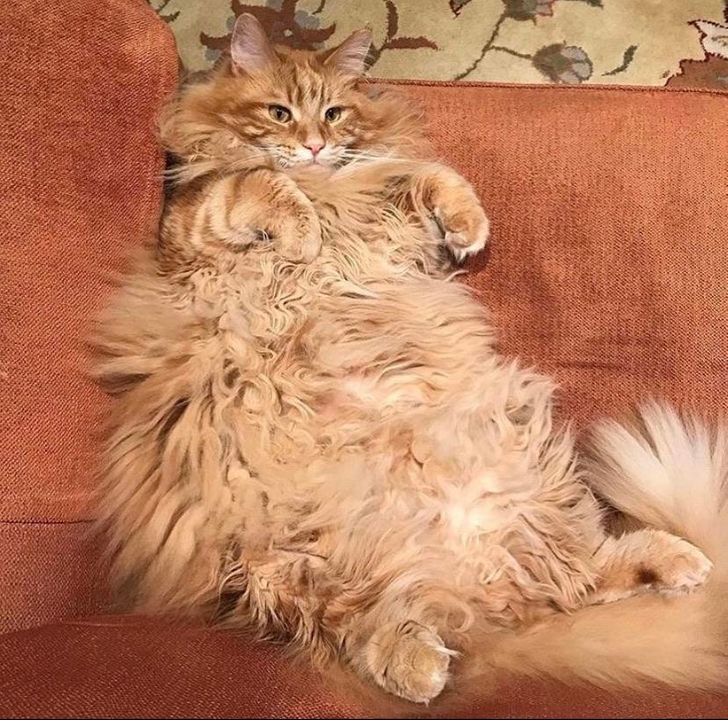 6f8b1d50d8947fad9ab955e31d