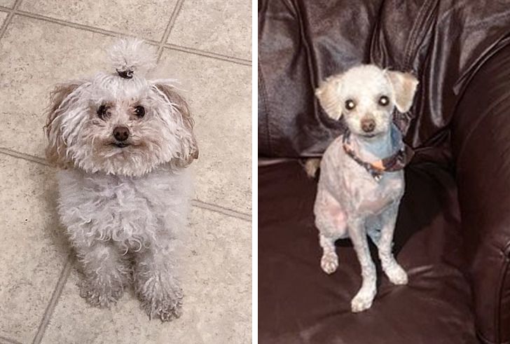 6f8bca532e8745a1f19acaa5f8