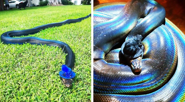 6f8d355d9cbd901edbd7f005ca