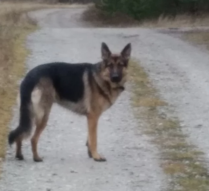 6f8f1f5dad93cbf4c1748e8a46