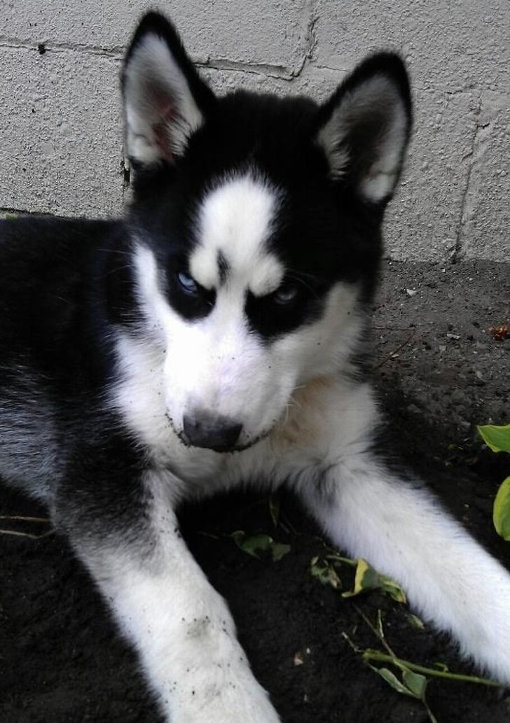 6f933057728ba69c0e9498a037