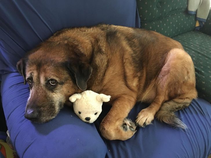 6f93eb5dc79fe756559fb9ac8c