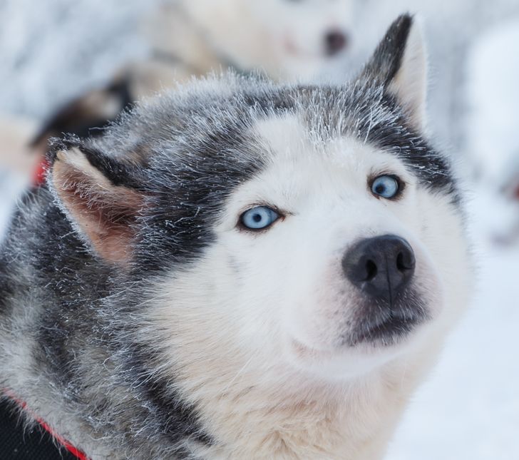 6f94745bd79e91f7136702318b