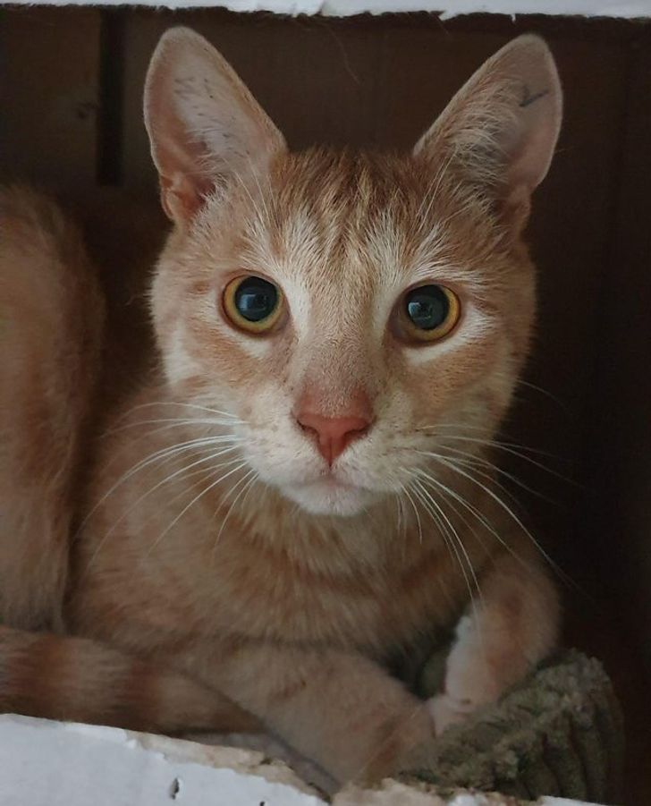 6f9fa054918627479c58ced092