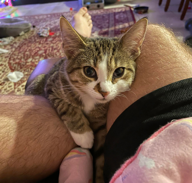 6fa05a58768725aacba75cbef8