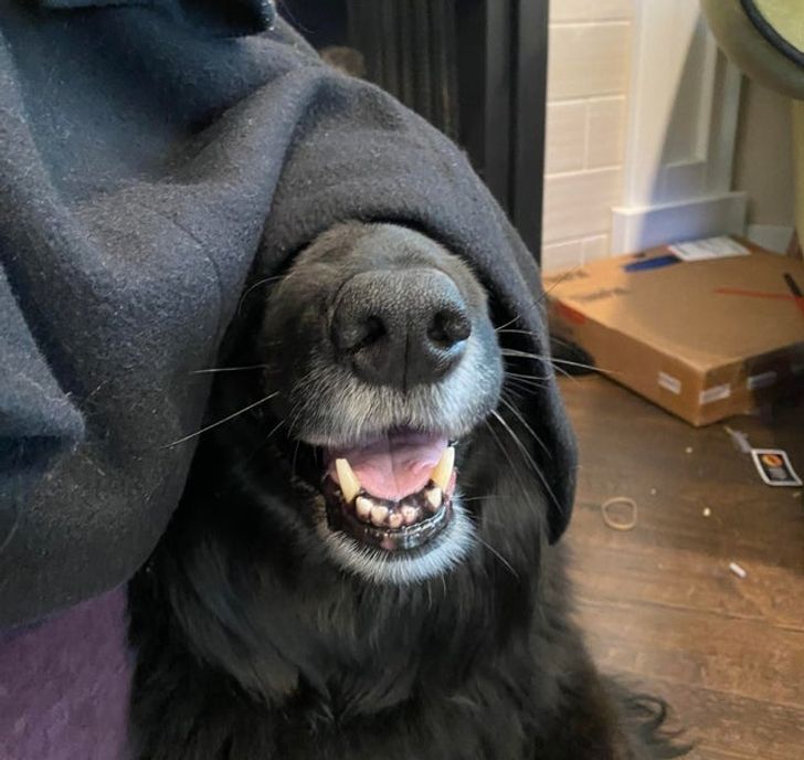 6fa88d5c379a705f783df05e77