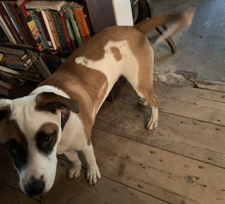 6faa225e31bd785c0c8ff061cb