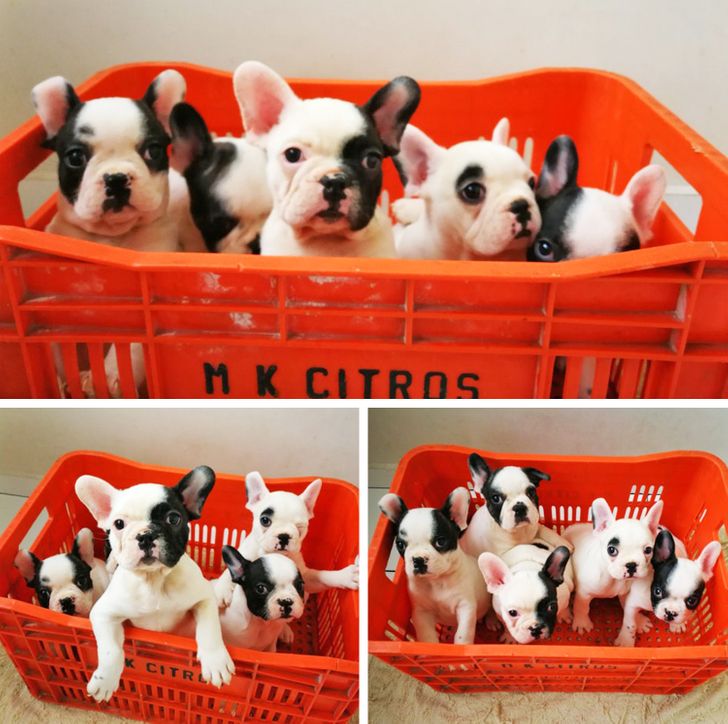 6fb2b650a599515ff4fc5ea1e2