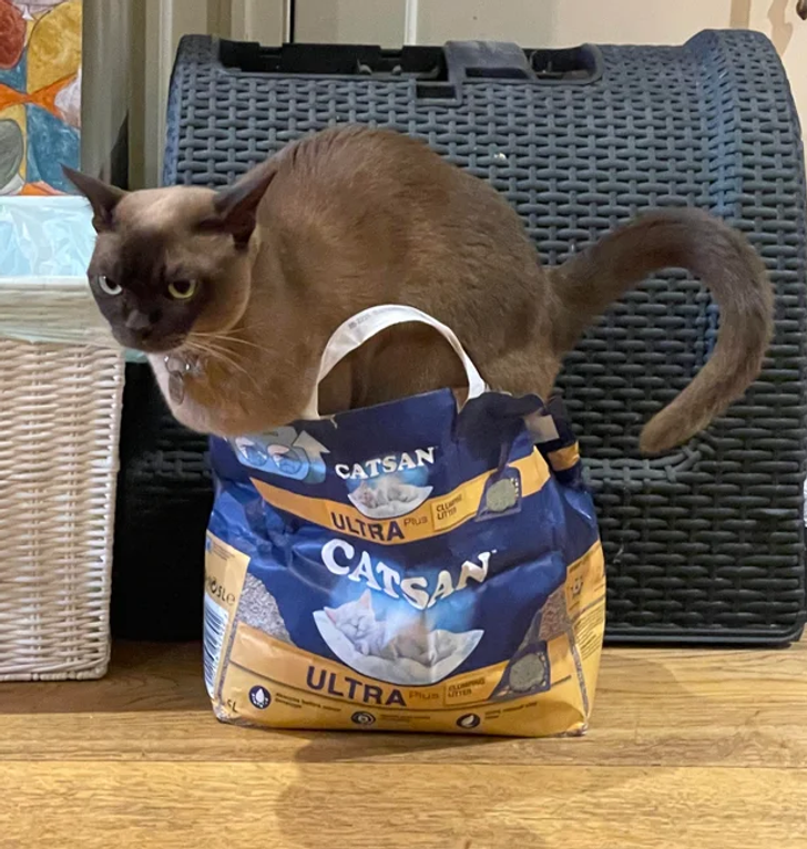 6fb59c5a0c95e0c362bc7bdf40 6fb59c5a0c95e0c362bc7bdf40