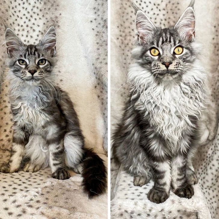 6fb5f951378cc56e3d40e10283