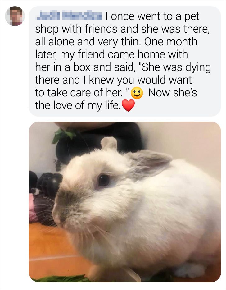 6fbb2c5ea9a4cb11bd30198a56