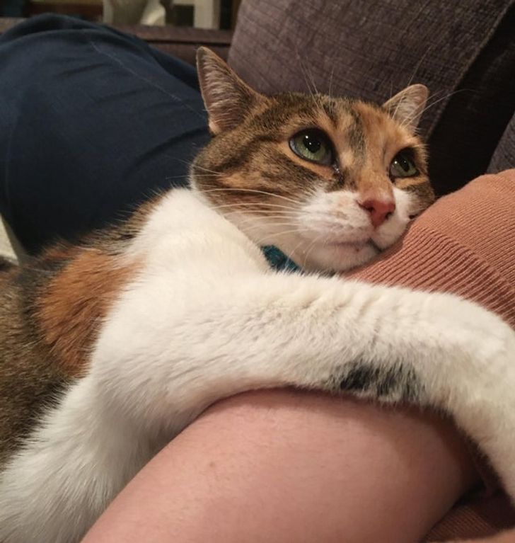 6fbcf858db9fcc263ce2756ff0