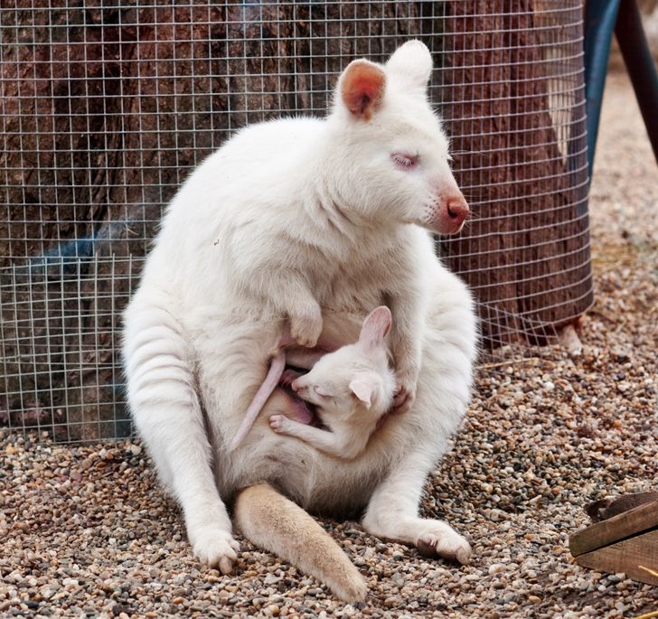 6fc16e5e29b59114675dead25b