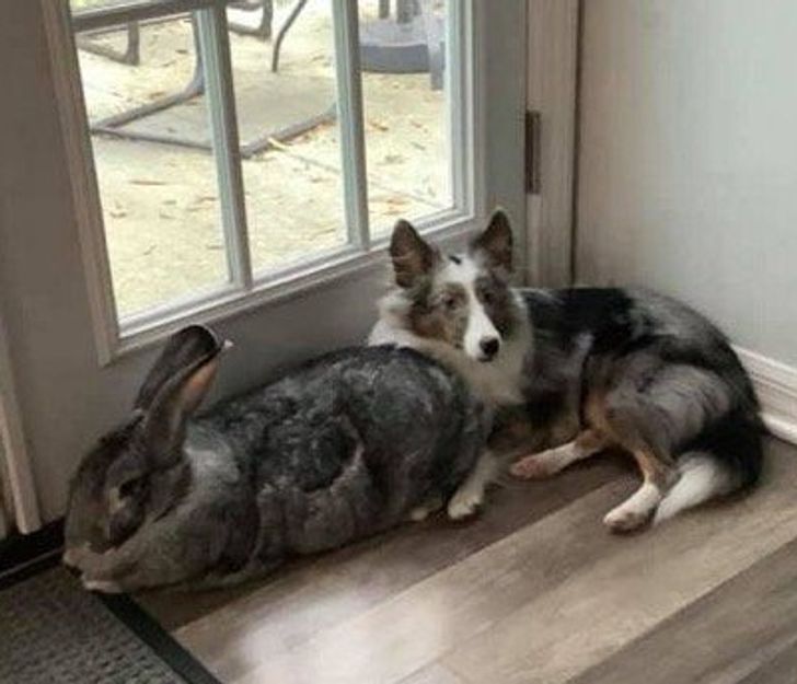 6fc3f0595fbce9bf62d596b492