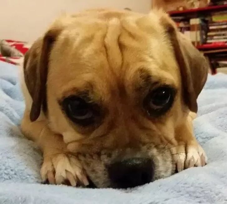 6fc6bc552ca26335f48872bbb4