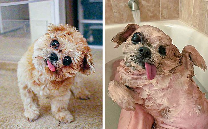 6fcc2d5b42ae517b73a7007386