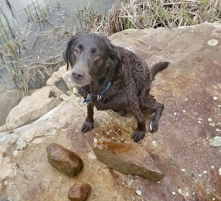 6fccf25ccf8434bdcef5dcb817