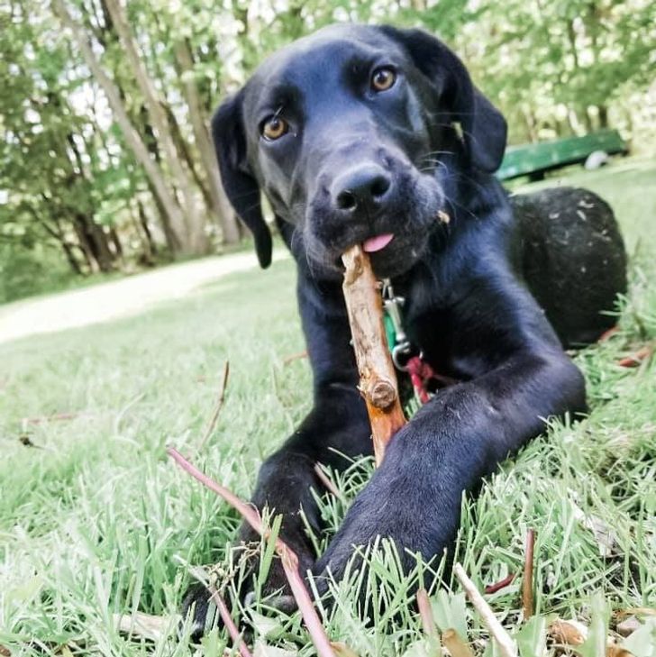 6fce5051948e2dc544ac137b7d