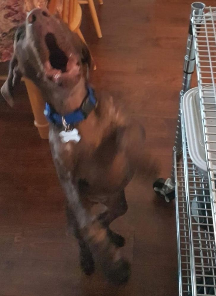 6fcfa55fd7bfa856d11f4e8615