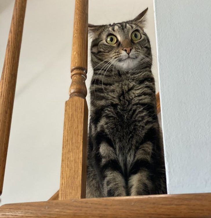 6fd68b5dde872b2898a4684920