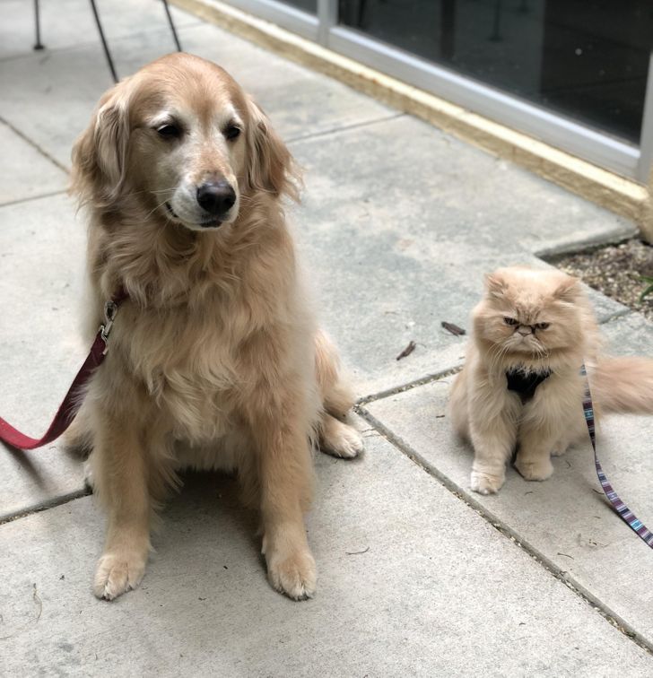 6fd6ad5a3088ef453dcdd3a1e5