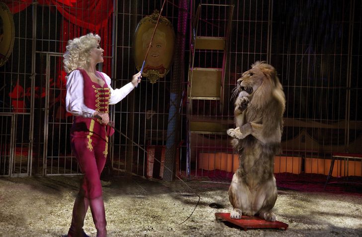 6fd7ea57249cd22d3cb4aef83d