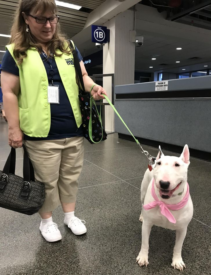 6fdb9c54dd9bc2050b38694e5a