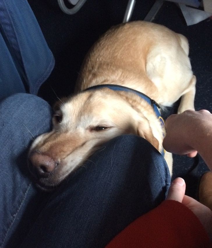 6fdbee5b1c9df6099cbf534a43