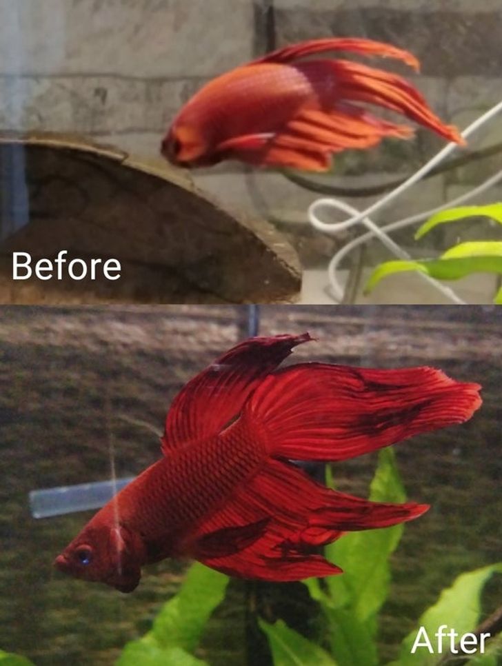 6fdf19586597b4c677f7689006